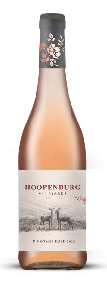 Hoopenburg  Hoopenburg Rose 